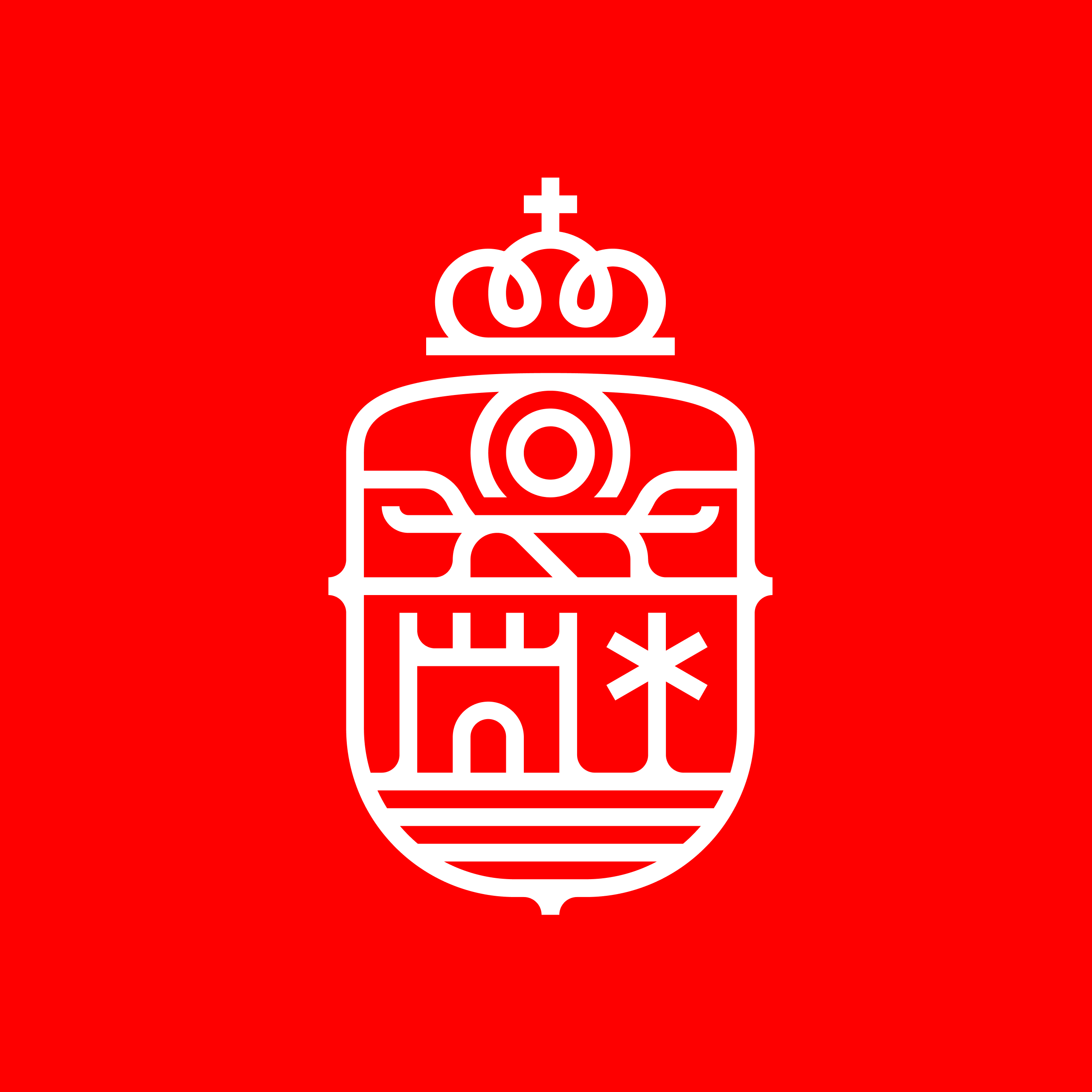 Santa Cruz de La Palma Acute Brand Studio